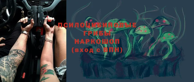 Галлюциногенные грибы MAGIC MUSHROOMS  закладка  Данков 